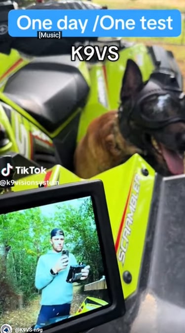 Argos K9, pour chiens et brigade canine, cyno