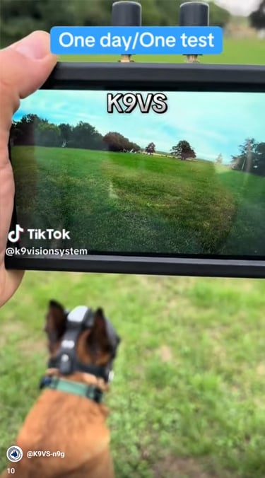 Vidéo k9 vision system, pour chiens et brigade canine, cyno