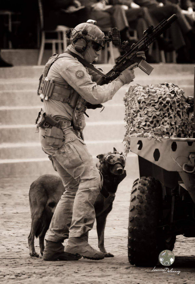 Filet de camouflage pour brigade canine (K9). Accessoires et