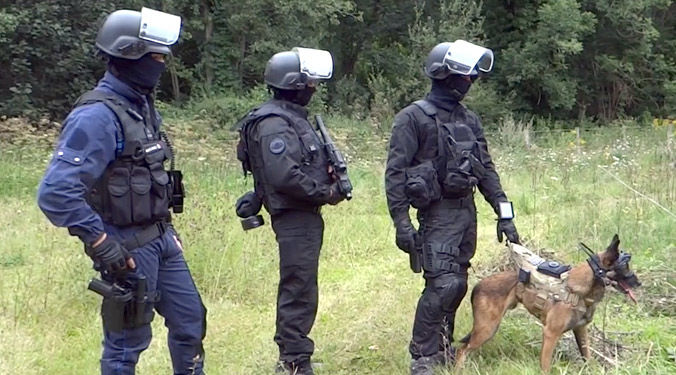 Video k9 vision system, for police dogs and cyno