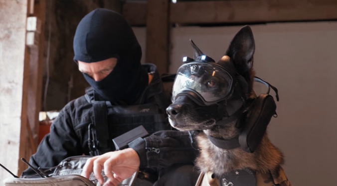 Vidéo k9 vision system, pour chiens et brigade canine, cyno