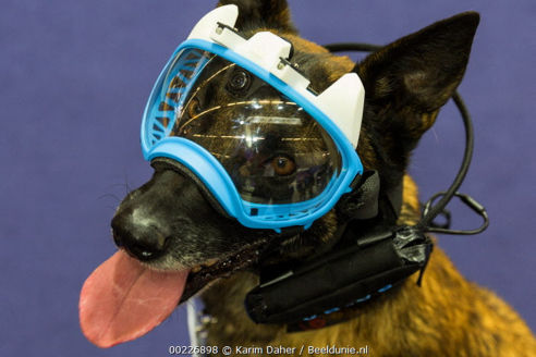 Presse k9 vision system, pour chiens et brigade canine, cyno