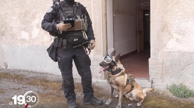 Gun, the most connected dog in Switzerland