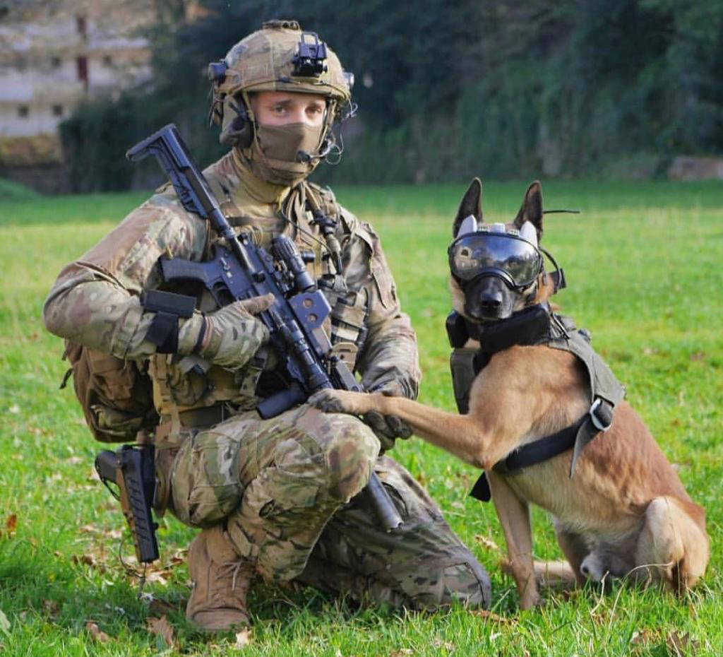 Commando - k9 vision system brigade canine