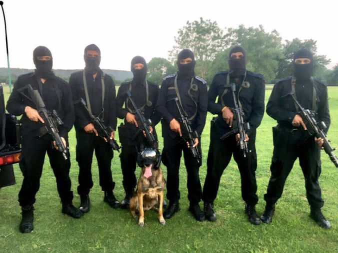 Equipe - k9 Vision System - camérapour brigade canin et cyno