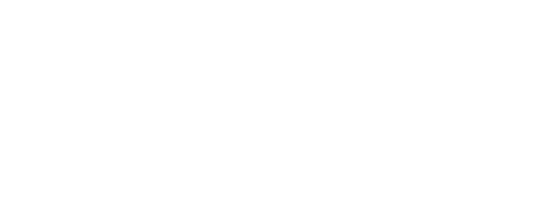 Accueil K9 Vision System 