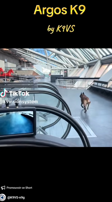 Video LCI  k9 vision system, pour chiens et brigade canine, cyno