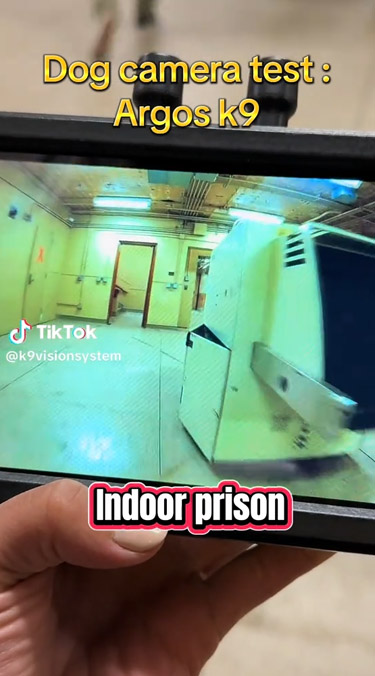 Video LCI  k9 vision system, pour chiens et brigade canine, cyno