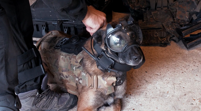 k9 vision system - brigade canine et cyno