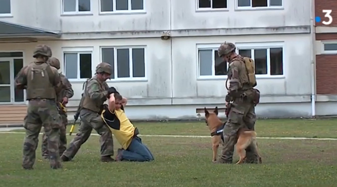 k9 vision system - brigade canine et cyno