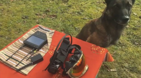 Vidéo k9 vision system, pour chiens et brigade canine, cyno