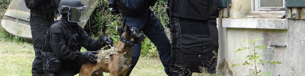 Products K9 Vision System - Camera for k9, working dogs, police and military