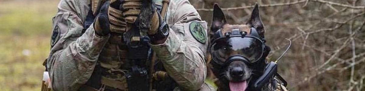 Equipe k9Team- k9 Vision System - mask and camera for dogs, military and law enforcement vision system - brigade cynophile et sécurité