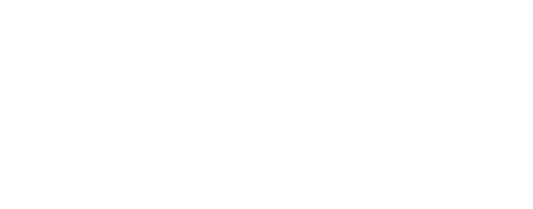 Accueil K9 Vision System 