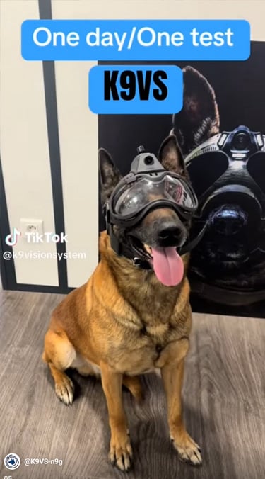 Argos K9- brigade canine et cyno