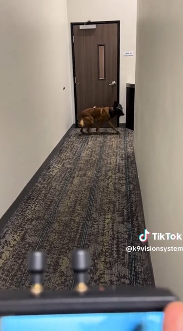 Argos K9, pour chiens et brigade canine, cyno