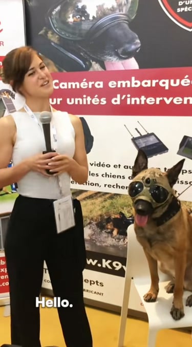 Argos K9, pour chiens et brigade canine, cyno