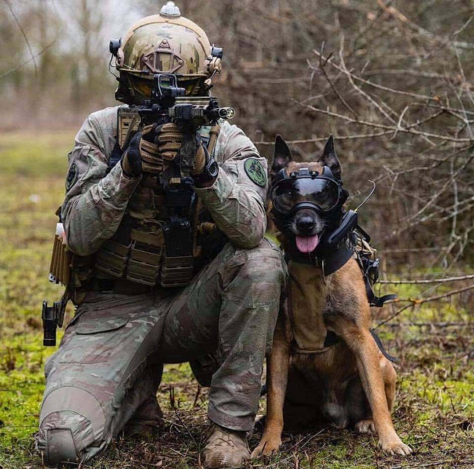 k9 vision system pour brigade cyno et canine
