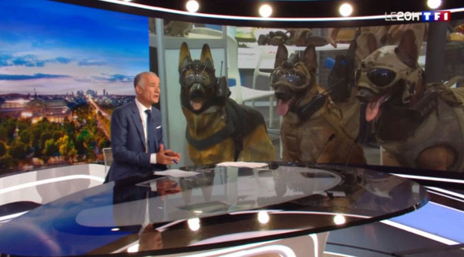 Vidéo TF1 Milipol - k9 vision system, pour chiens et brigade canine, cyno 