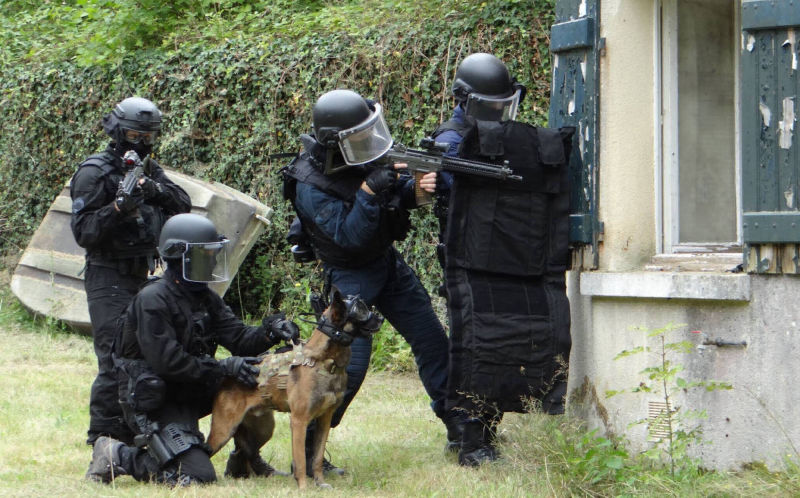 k9 vision system pour brigade canine, sécurité et force de l'ordre