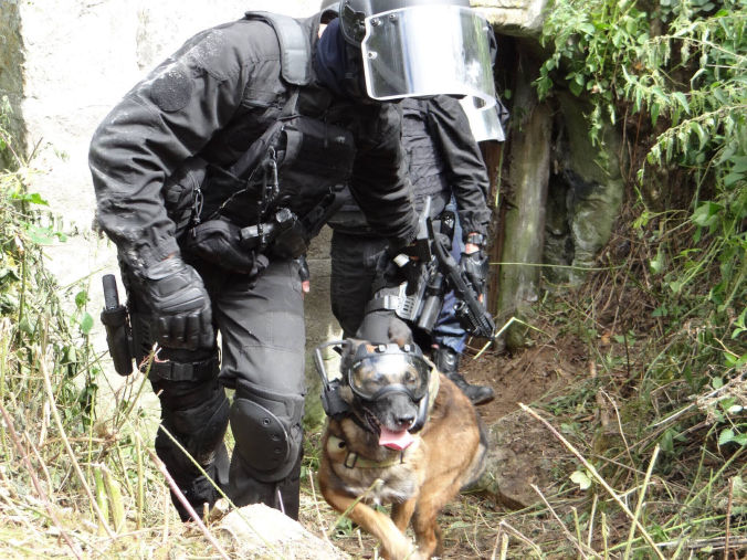 Formation k9 Vision - equipement pour chien et brigade cyno