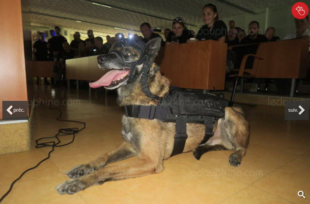 Le Dauphiné - k9 vision system pour brigade canine et cyno
