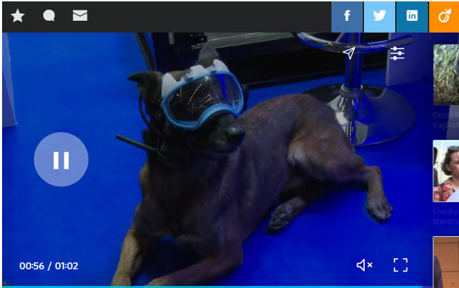 Presse - k9 vision system pour brigade canine et cyno