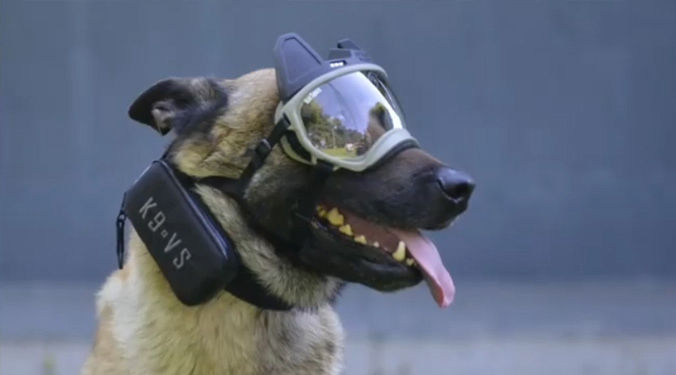 Vidéo k9 vision system, pour chiens et brigade canine, cyno