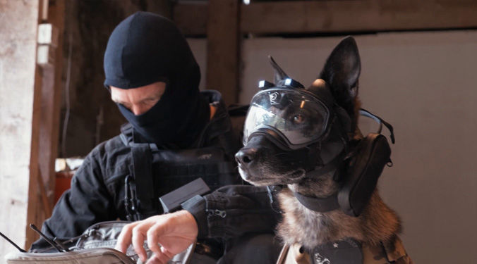 Vidéo k9 vision system, pour chiens et brigade canine, cyno