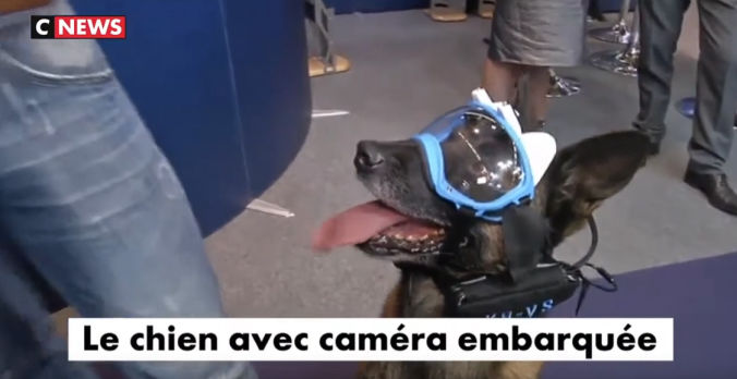 Vidéo k9 vision system, pour chiens et brigade canine, cyno