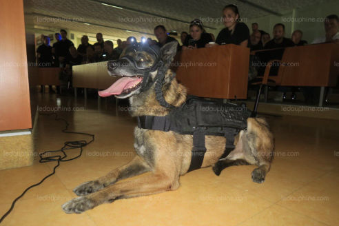 Presse k9 vision system, pour chiens et brigade canine, cyno