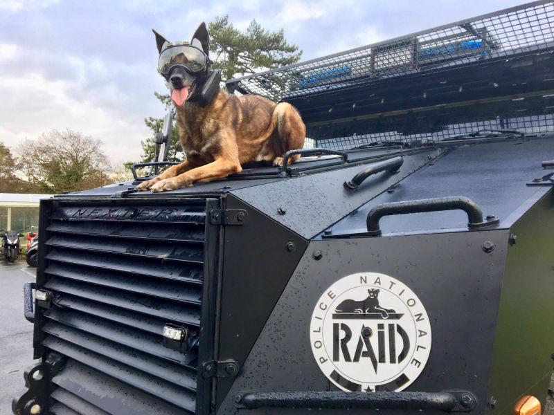 Le RAID k9 vision system 