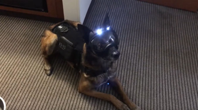 Vidéo k9 vision system, pour chiens et brigade canine, cyno